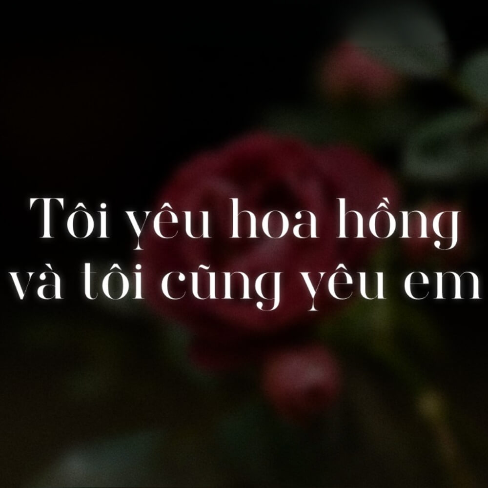 SVN Didot