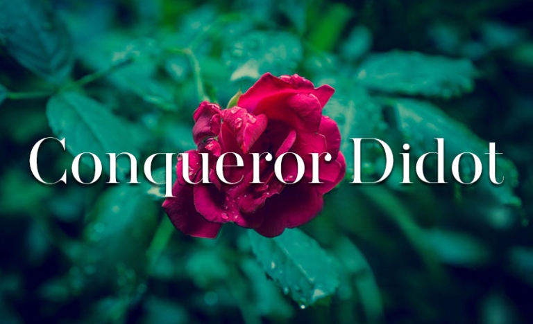 Font chữ tiếng Việt SVN-Conqueror Didot