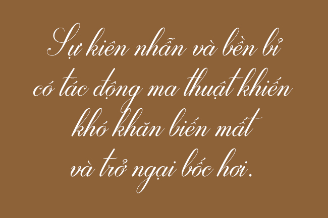 Font SVN-Darleston Việt hóa đẹp 01