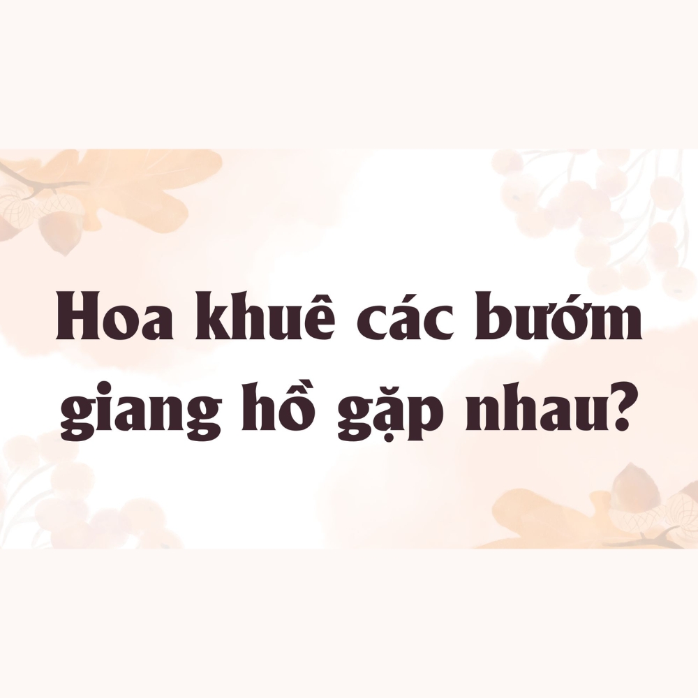Font chữ Việt hóa UTM Alberta Heavy đẹp 04