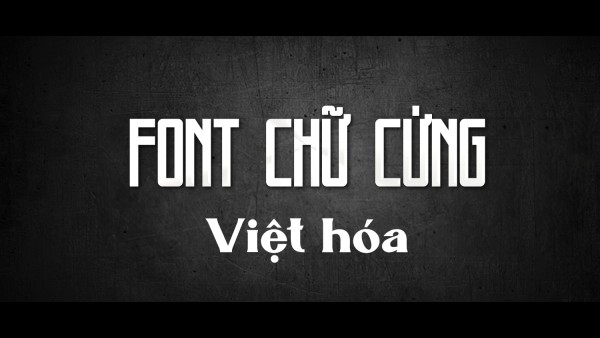 Font chữ cứng Việt hóa