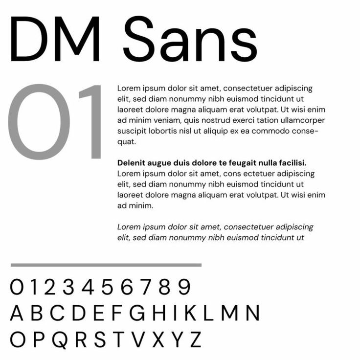 Font DM Sans Việt hóa