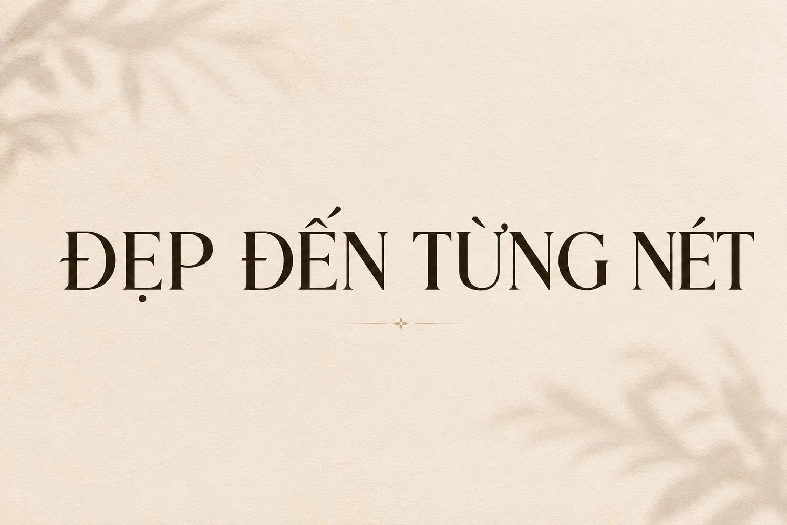 Font Elegant đẹp 03