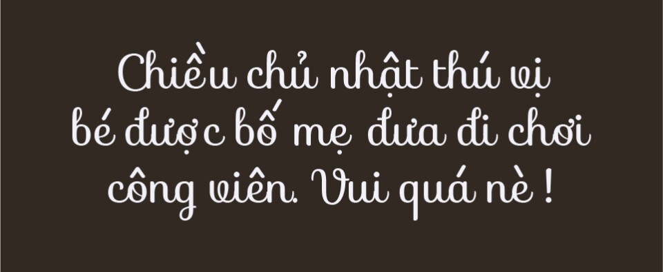 Font VNF Việt hóa đẹp 01