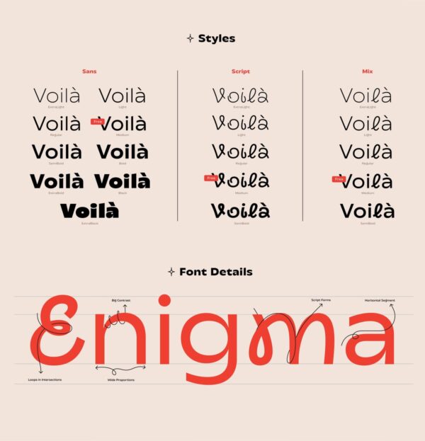 Transforma font family Việt hóa đẹp 03