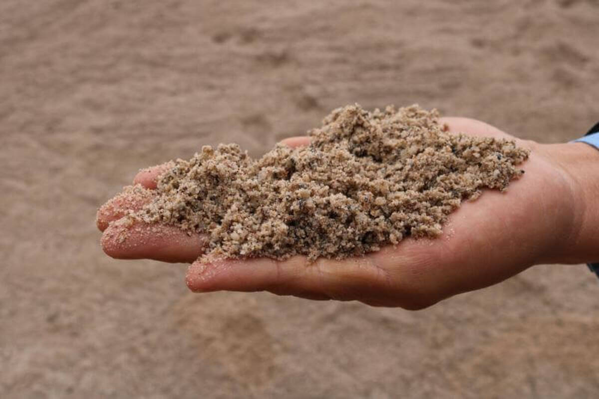 Kinh nghiệm chọn cát xây dựng để đảm bảo chất lượng công trình và tiết kiệm chi phí
