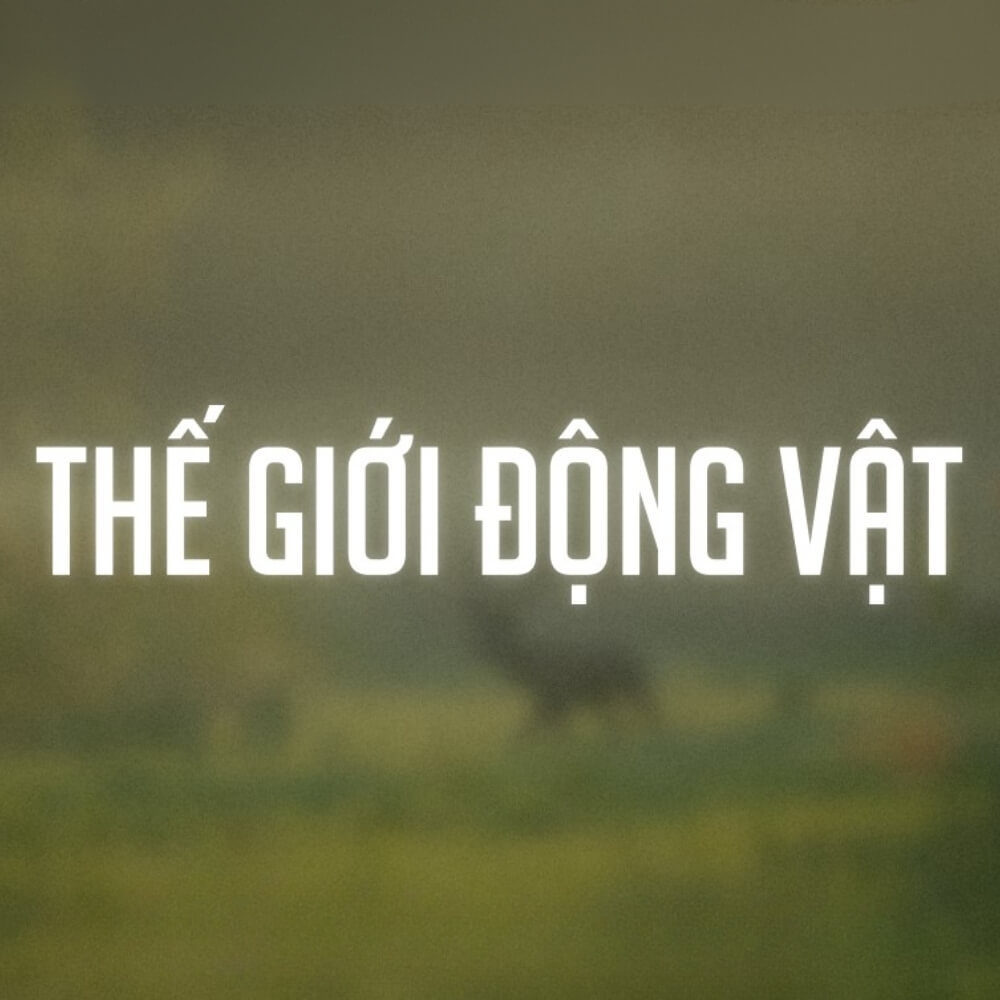 font việt hóa svn conqueror didot
