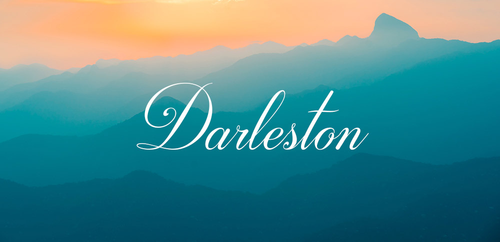 font việt hóa svn darleston