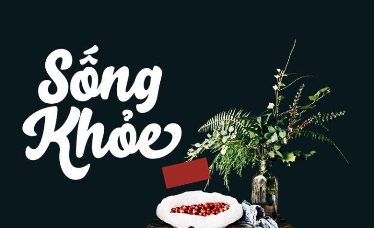 font việt hóa svn salty script