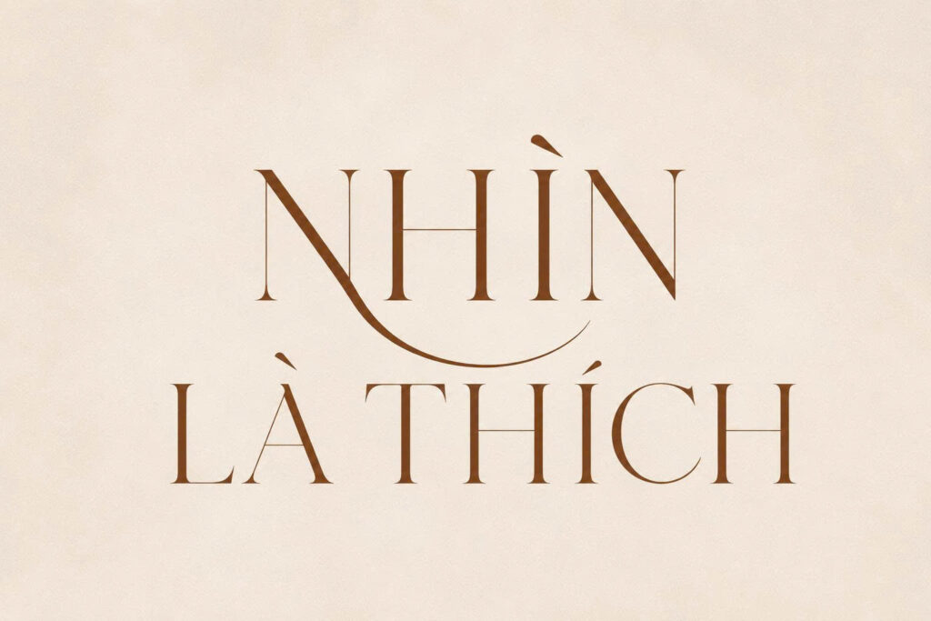 font việt hóa menata